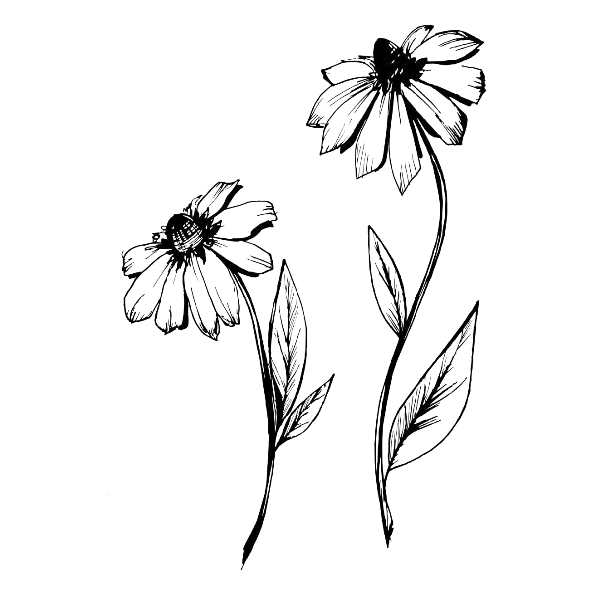Biele tričko „Asters“